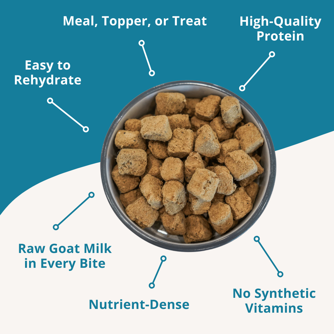 Bowl of pet food with text highlighting features on a blue background