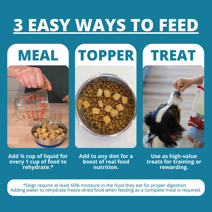 infographic showing 3 ways to feed