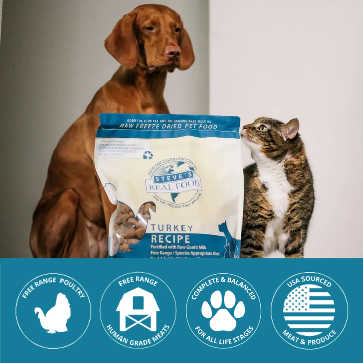Dog and cat with a package of Steve's Real Food Turkey Recipe pet food, featuring product benefits on a blue banner.
