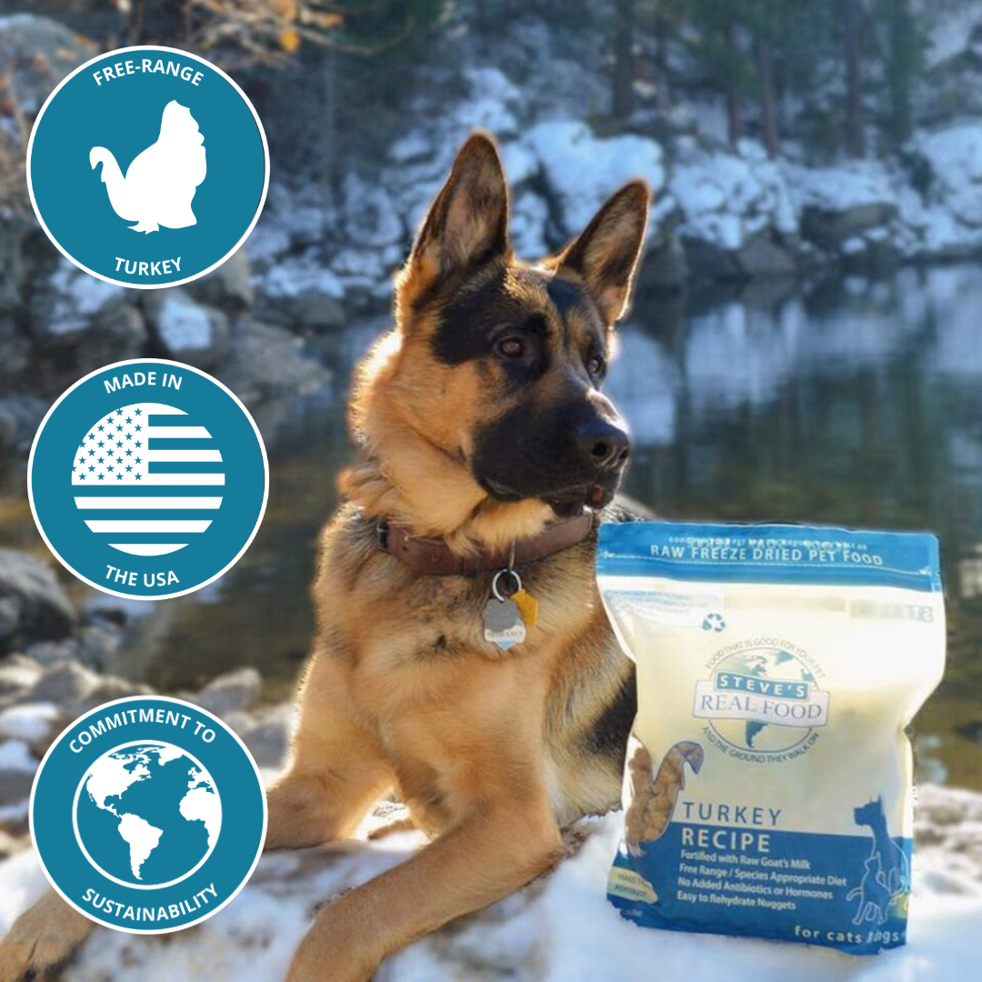 dog with bag of food and icons