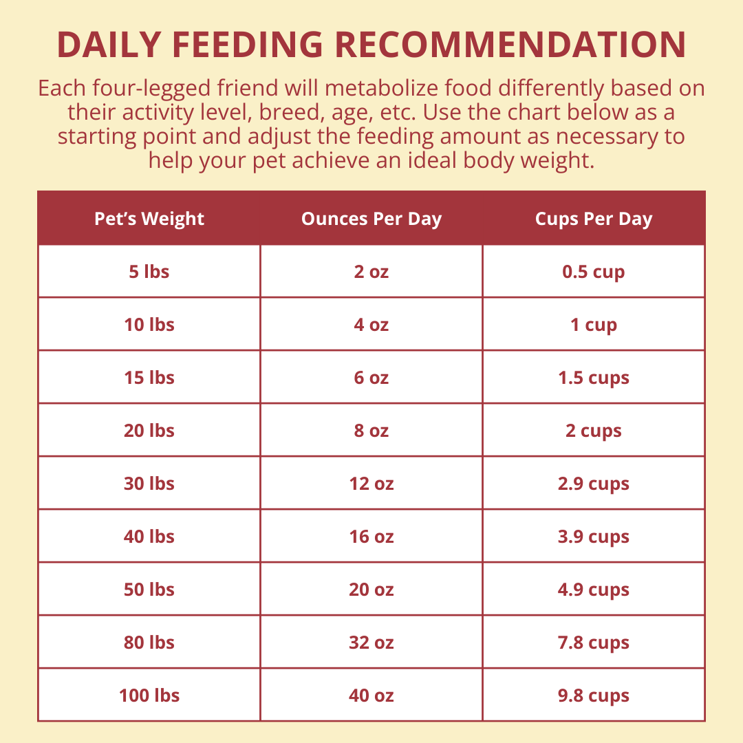 Daily feeding recommendation chart for pets on a yellow background