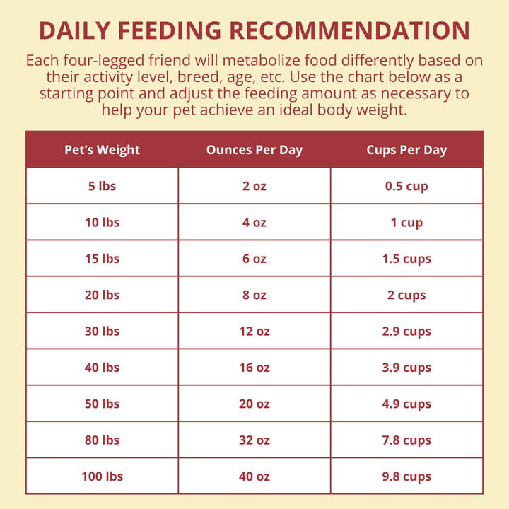 Daily feeding recommendation chart for pets on a yellow background