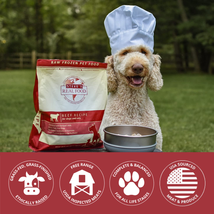Dog wearing a chef's hat with a bag of Steve's Real Food raw frozen pet food and a bowl outdoors.