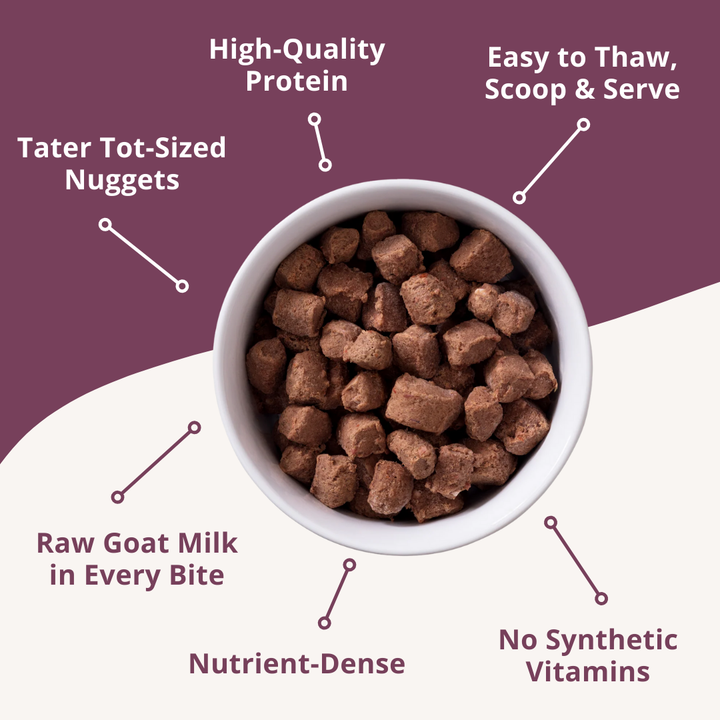 Dog food in a bowl with text highlighting features on a purple background
