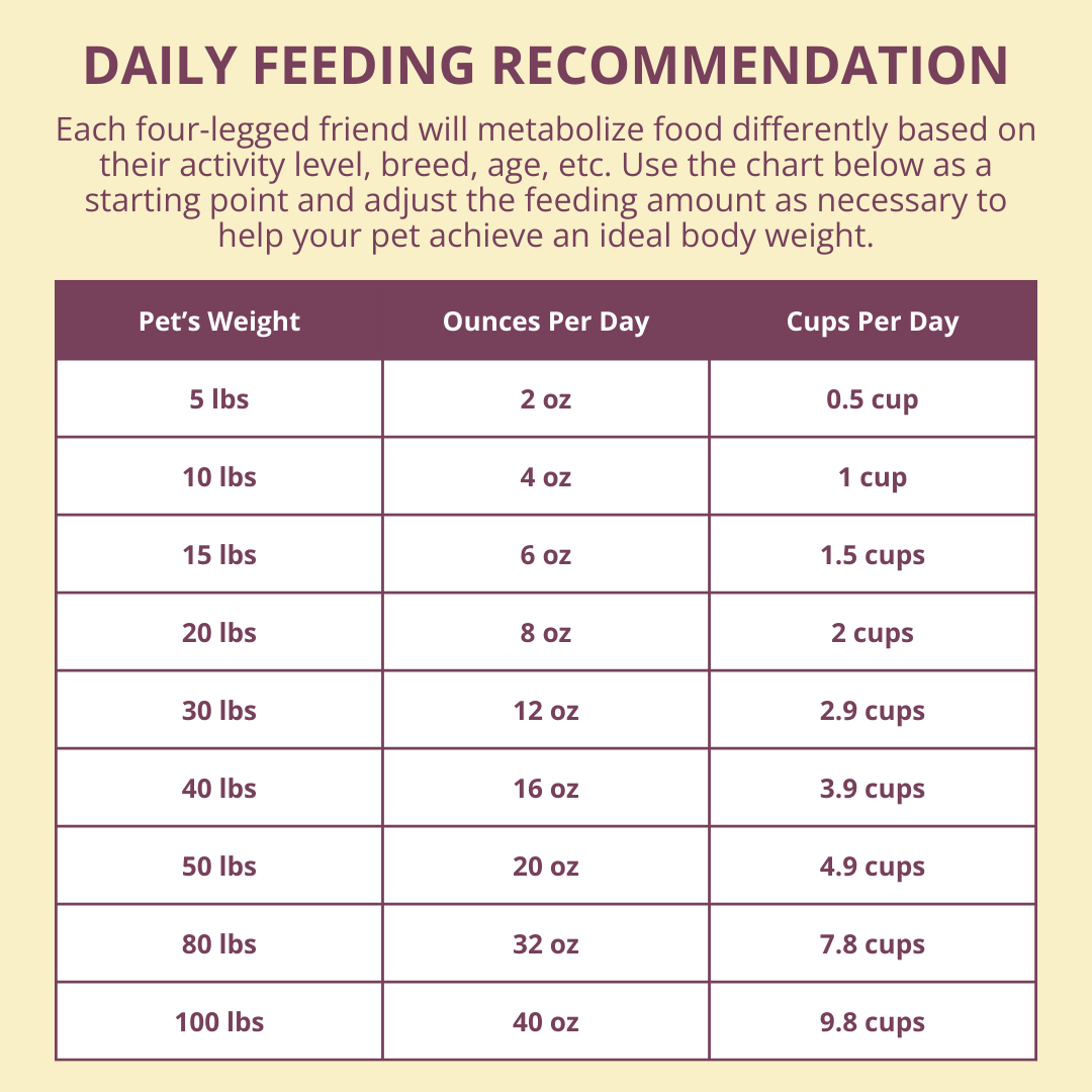 Daily feeding recommendation chart for pets on a yellow background