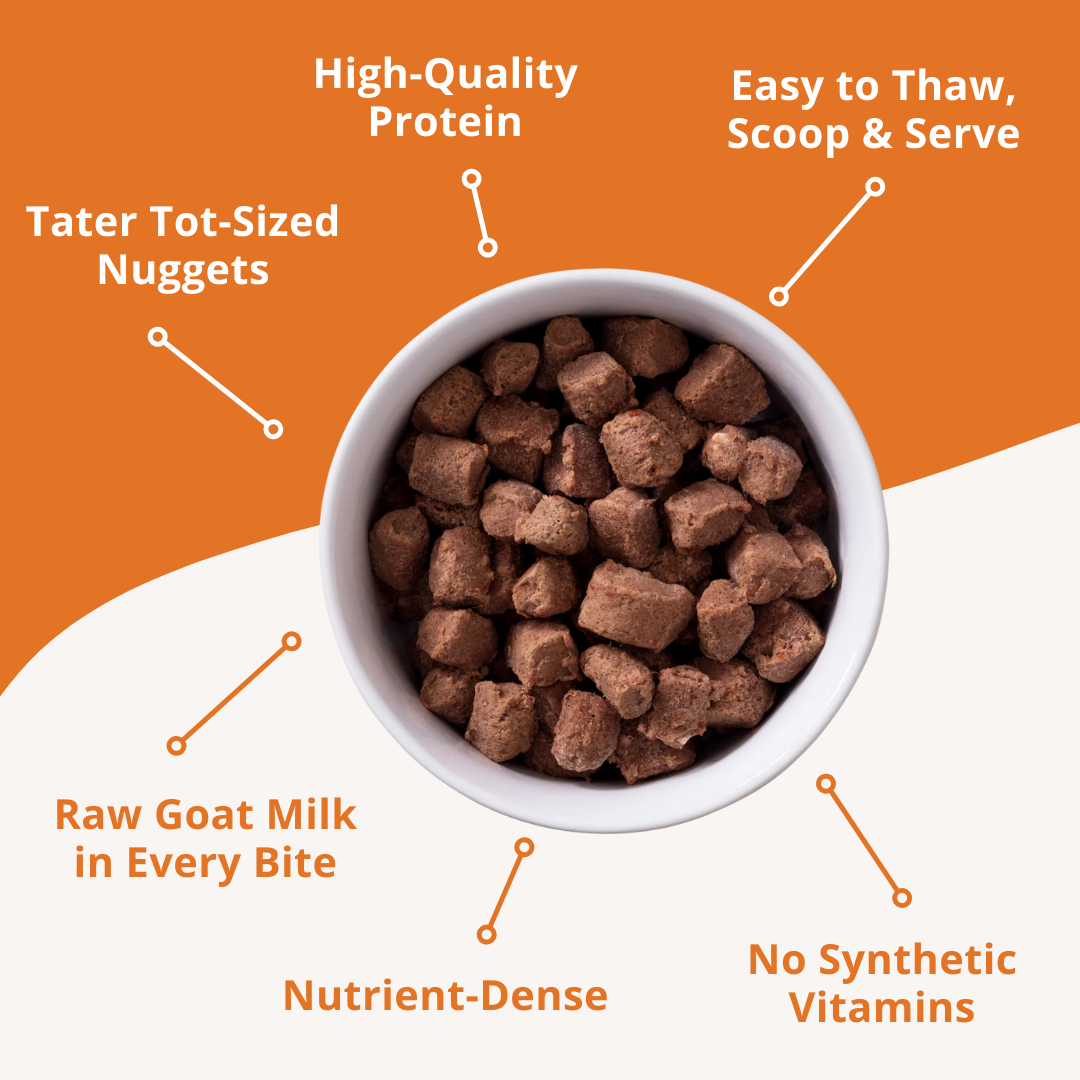 Dog food product with features listed on an orange background