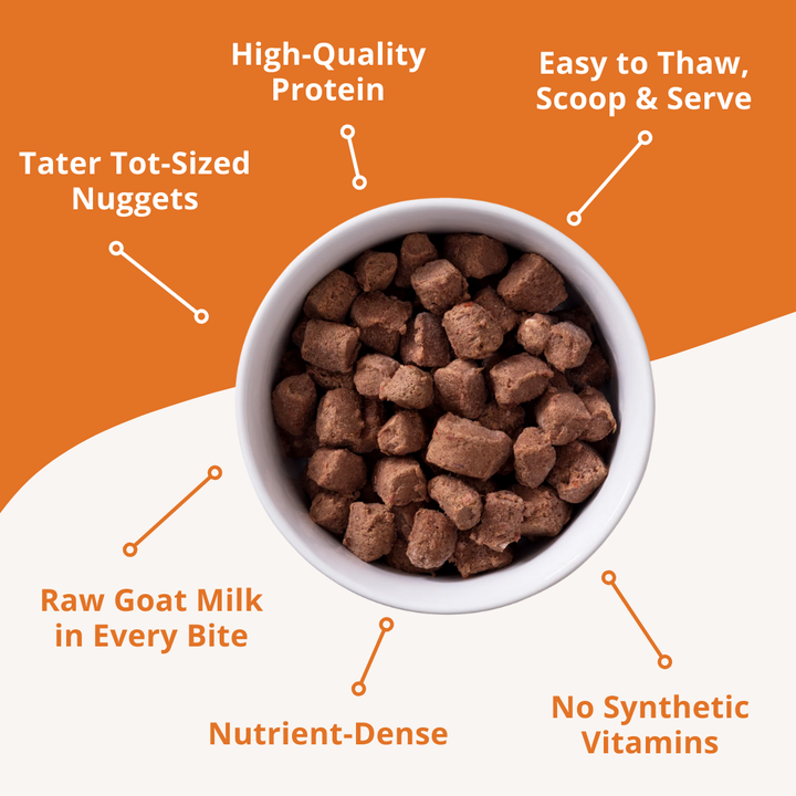 Dog food product with features listed on an orange background