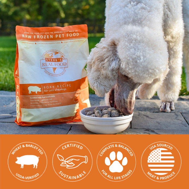 Dog eating from a bowl next to a package of Steve's Real Food pork recipe pet food.