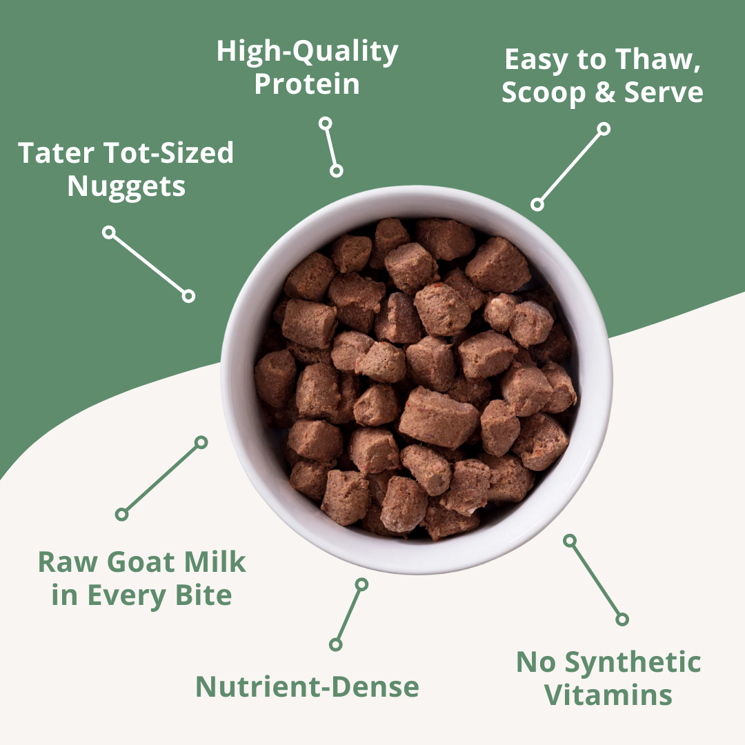 Dog food in a bowl with text highlighting features on a green background