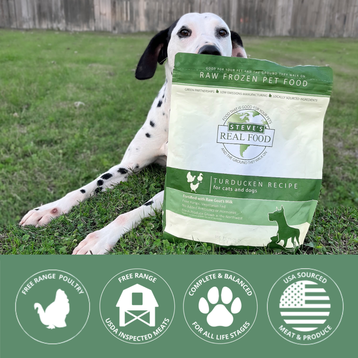 Dog holding a bag of Steve's Real Food Turducken Recipe raw frozen pet food in grass