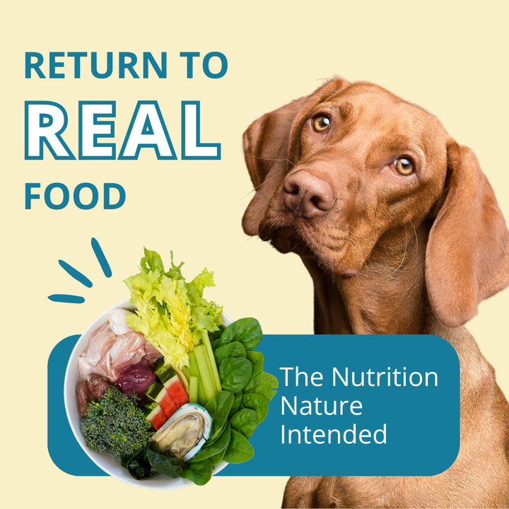 Turkey 15 lb Frozen Raw Pet Food (3 pack) Bundle