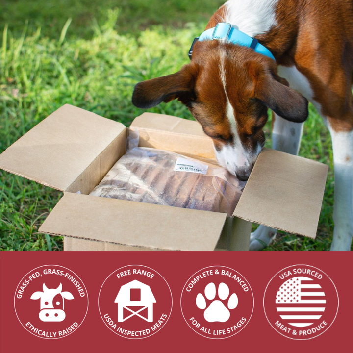 Dog sniffing a box of pet food with certification icons at the bottom