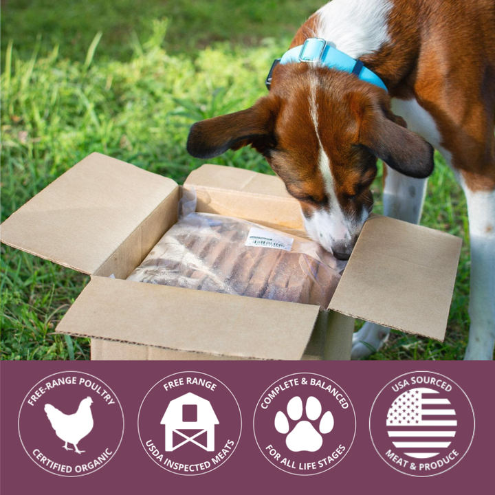 Dog sniffing a cardboard box with pet food inside, set against a grassy background.