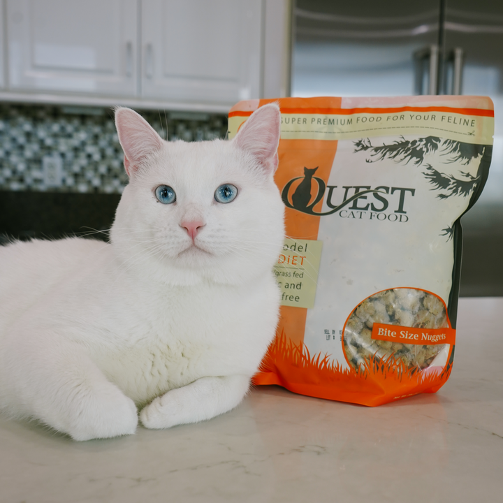 Frozen Raw Cat Food: Pork Diet (4 Pack)