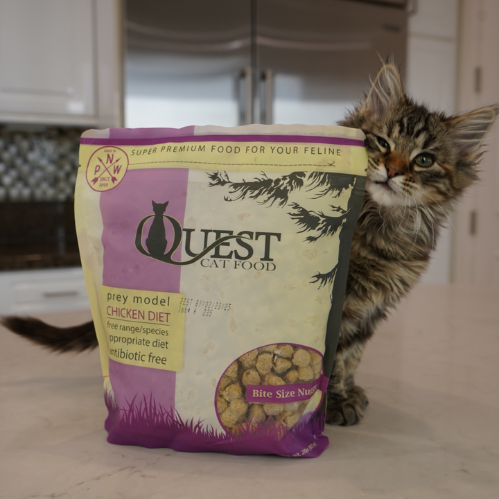 Frozen Raw Cat Food: Chicken Diet (4 Pack)