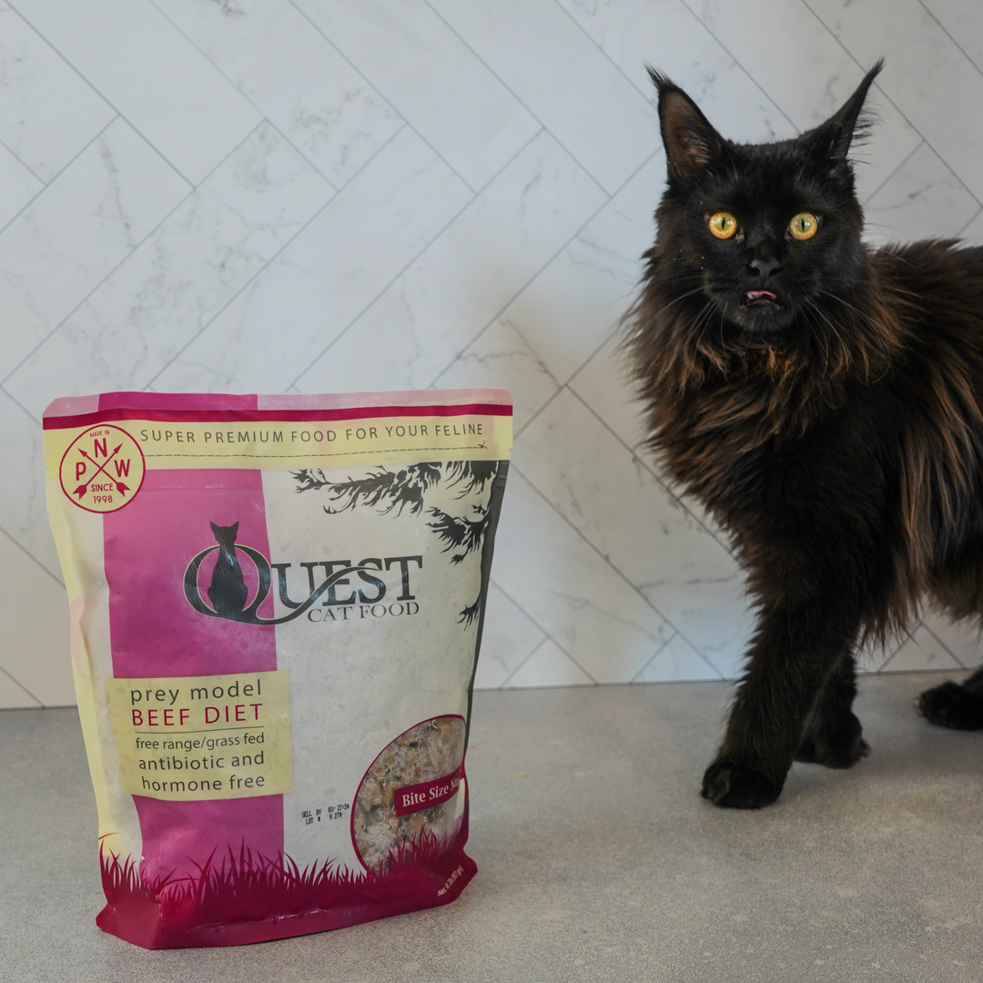 Frozen Raw Cat Food: Beef Diet (4 Pack)