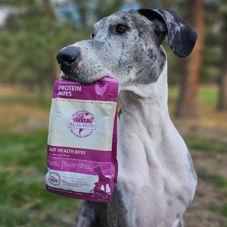 Chicken Protein Bites FreezeDried Gut Health Treats for Dogs and Ca