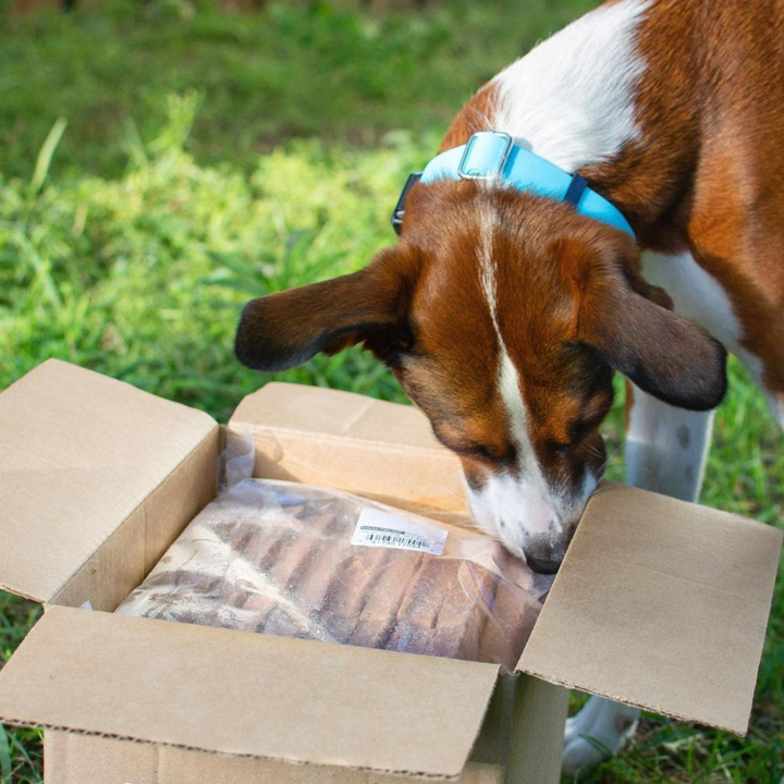 Steve's Real Food TURKEY 20 LB Frozen Raw Pet Food