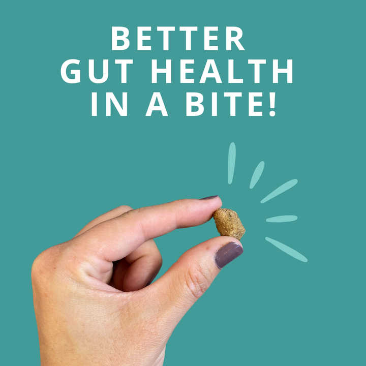 Hand holding a pet treat with text 'Better Gut Health in a Bite!' on a teal background