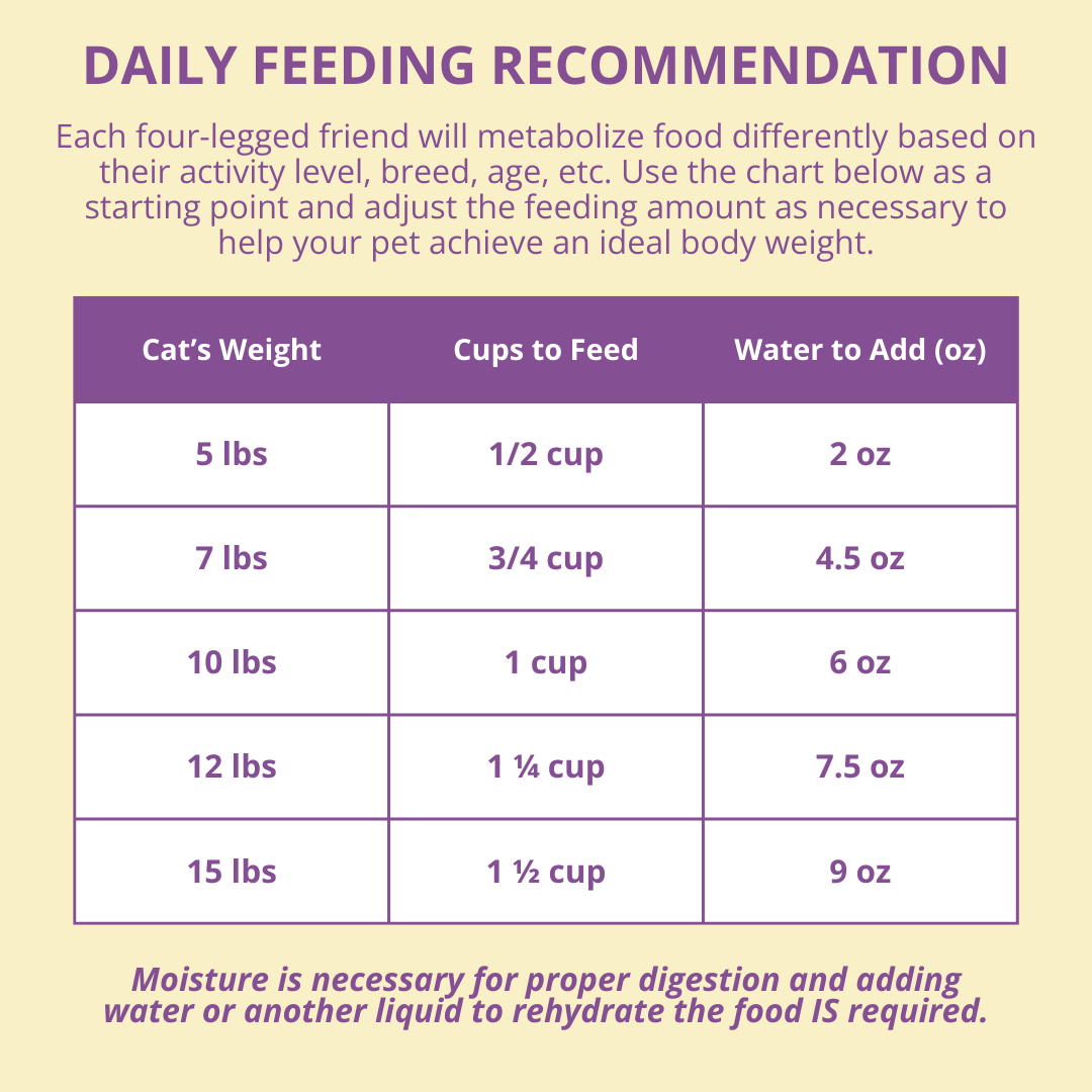 Daily feeding recommendation chart for cats on a yellow background