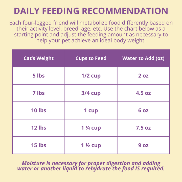 Daily feeding recommendation chart for cats on a yellow background