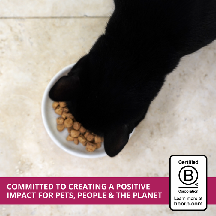 A black cat eating from a white bowl of rawt cat food nuggets on a light beige tiled floor, with a pink banner at the bottom and a B Corp certification logo in the lower right.