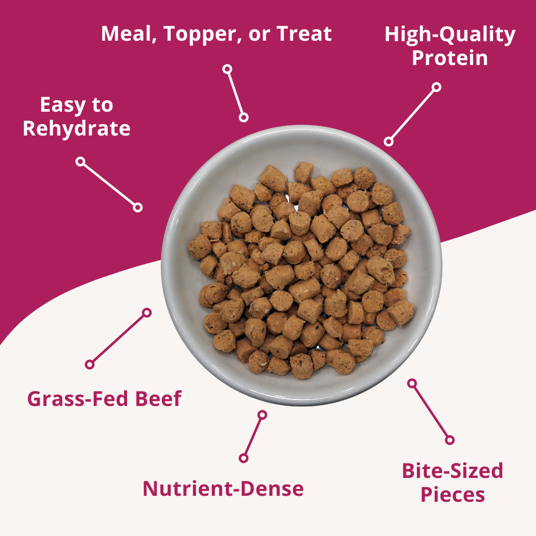 Variety Freeze-Dried Raw Cat Food (4 pack) Bundle