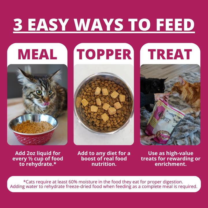 An informational graphic with a magenta background titled '3 EASY WAYS TO FEED' showing three panels: 'MEAL' with a cat and a bowl of wet food, 'TOPPER' with a bowl of dry kibble and freeze dried cat food, and 'TREAT' with a cat eating from a bag. Text explains how to rehydrate freeze-dried raw cat food and how to use treats.