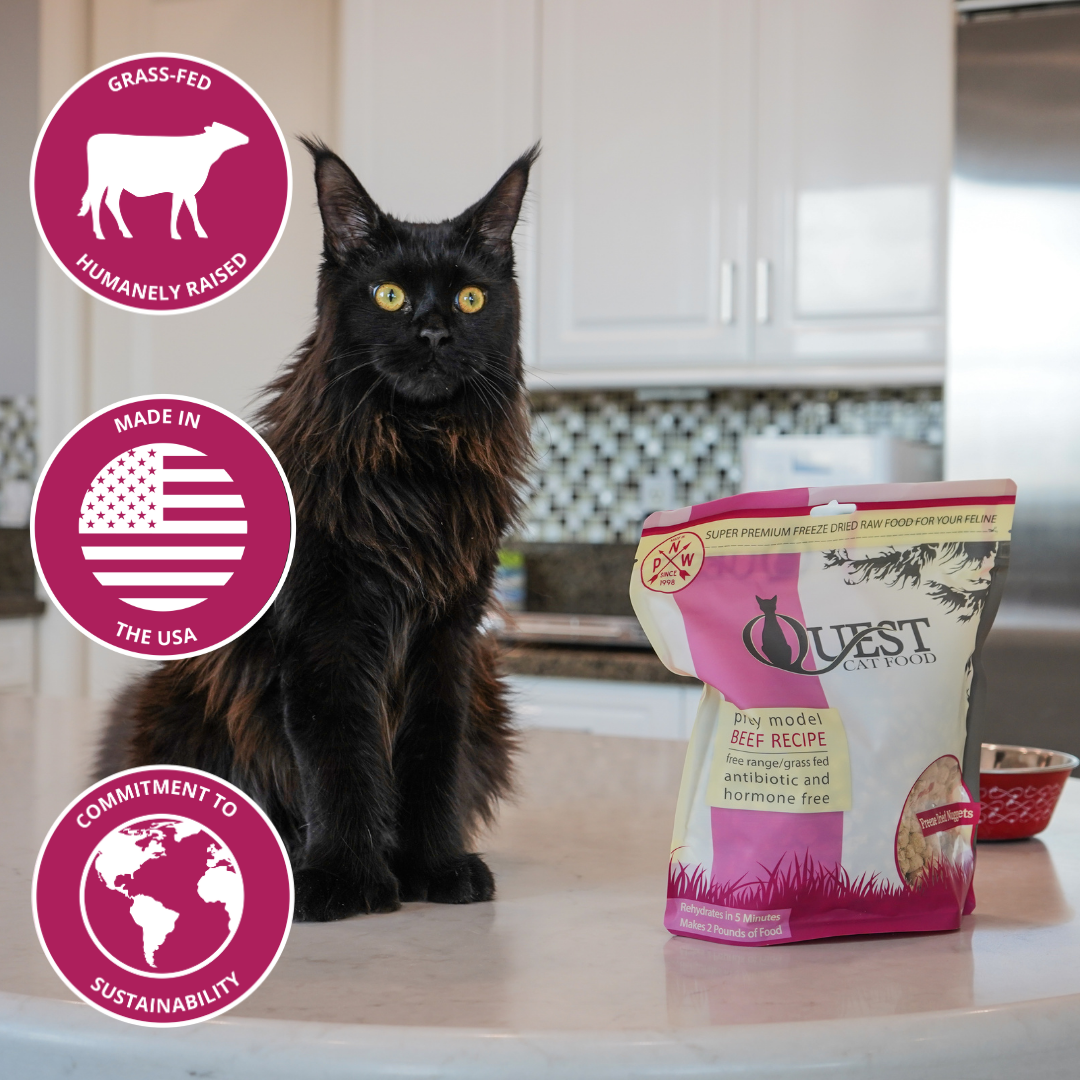A long-haired black cat sits on a kitchen counter next to a bag of beef rawCat Food, with three circular promotional badges on the left highlighting grass-fed, made in the USA, and sustainability commitments.