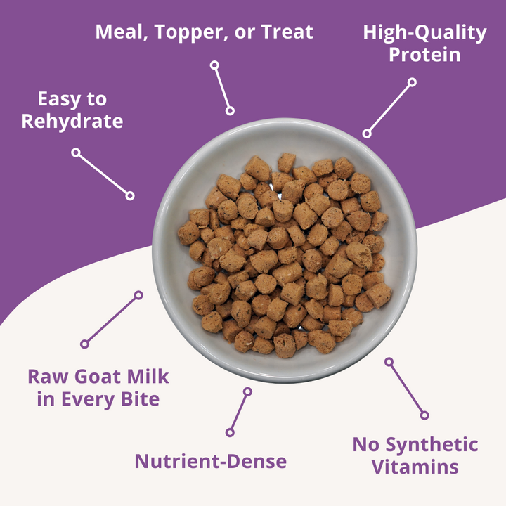 Bowl of pet food with text highlighting features on a purple background