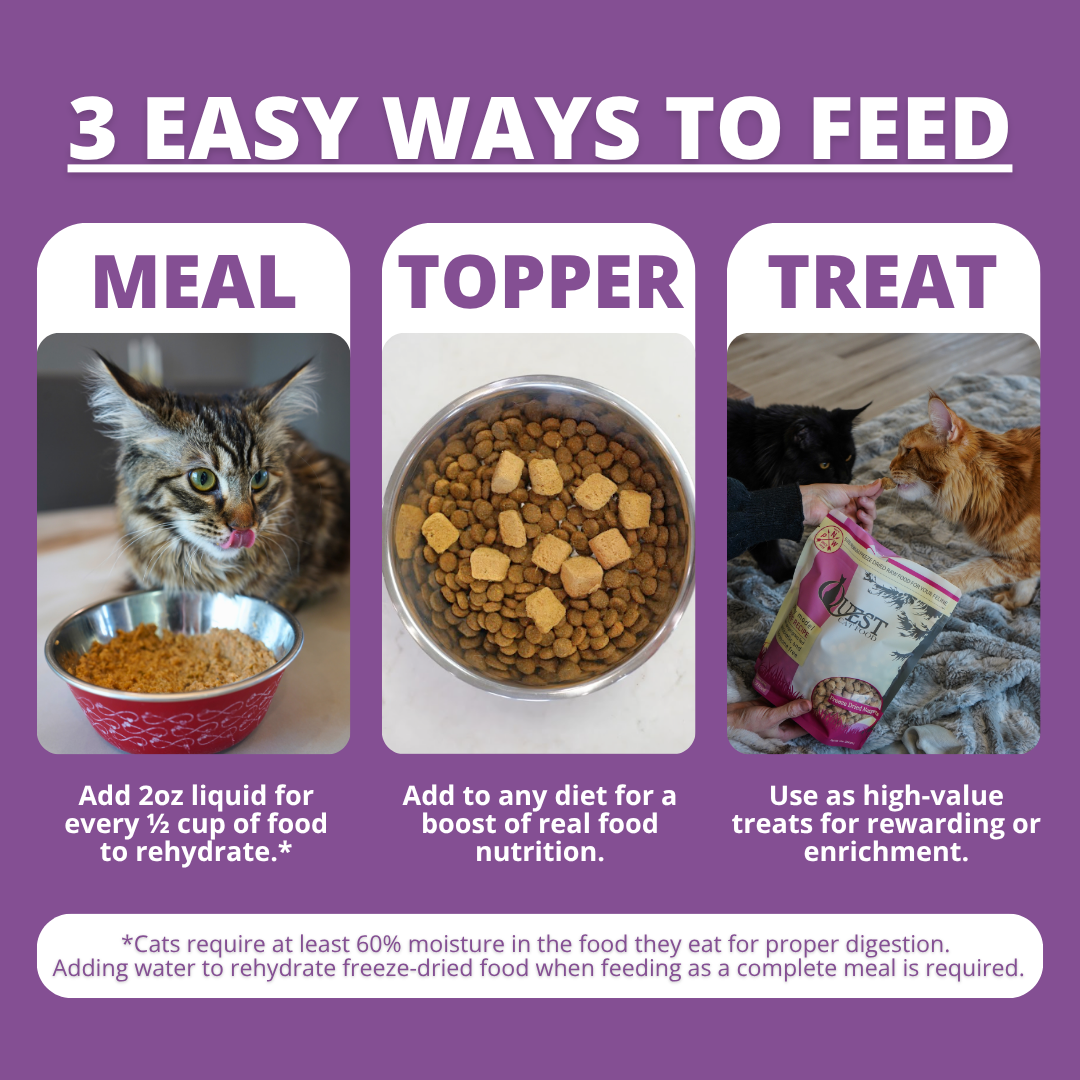 An informational graphic with a purple background titled '3 EASY WAYS TO FEED' showing three panels: 'MEAL' with a cat next to a bowl of wet food, 'TOPPER' with a bowl of dry kibble and freeze dried raw cat food, and 'TREAT' with cats eating from a bag. Text explains how to use liquid, dry food, and treats.
