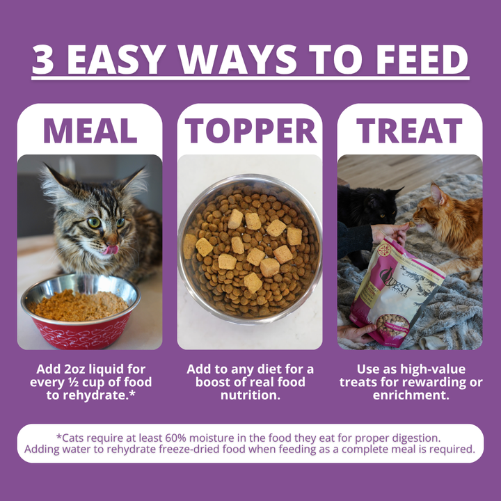 An informational graphic with a purple background titled '3 EASY WAYS TO FEED' showing three panels: 'MEAL' with a cat next to a bowl of wet food, 'TOPPER' with a bowl of dry kibble and freeze dried raw cat food, and 'TREAT' with cats eating from a bag. Text explains how to use liquid, dry food, and treats.