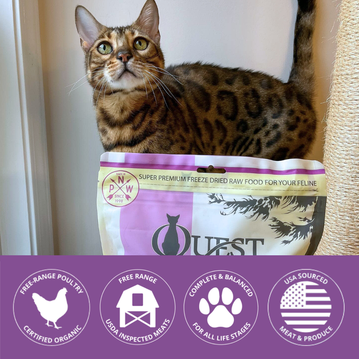 Cat with a pet food bag with brand icons at the bottom