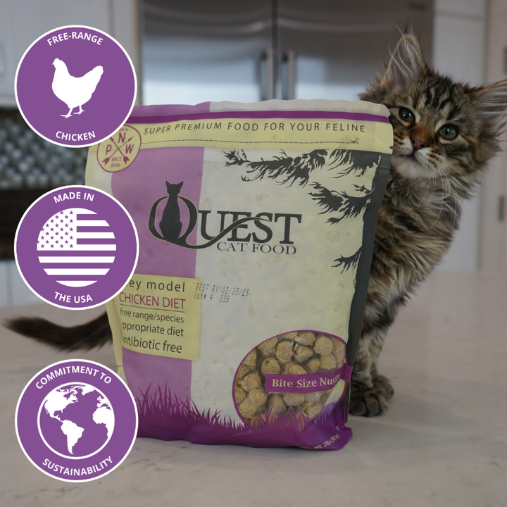 A bag of Quest Raw Cat Food chicken diet cat food is shown next to a fluffy tabby kitten in a kitchen setting. Three purple circular badges on the left highlight 'Free-Range Chicken', 'Made in the USA', and 'Commitment to Sustainability'.