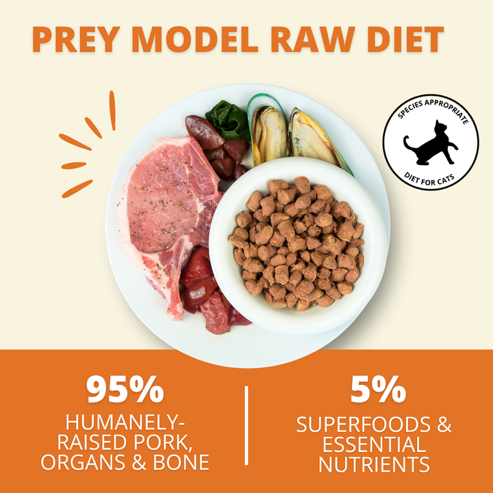 Pork Freeze-Dried Raw Cat Food (2 Pack) Bundle