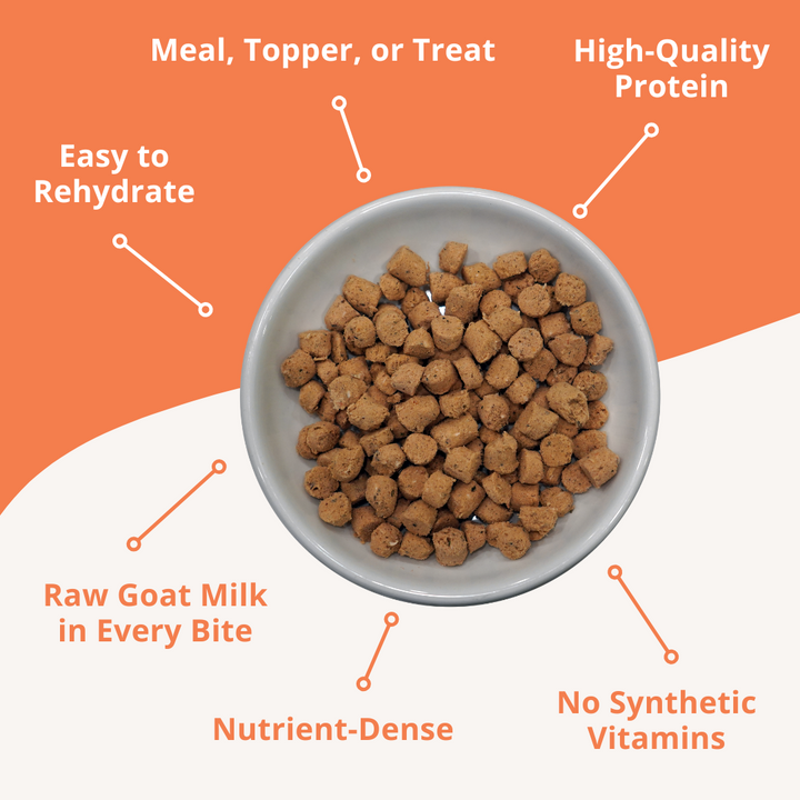 Bowl of pet food with text highlighting features on an orange background