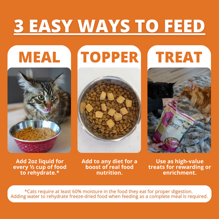 Pork Freeze-Dried Raw Cat Food (2 Pack) Bundle
