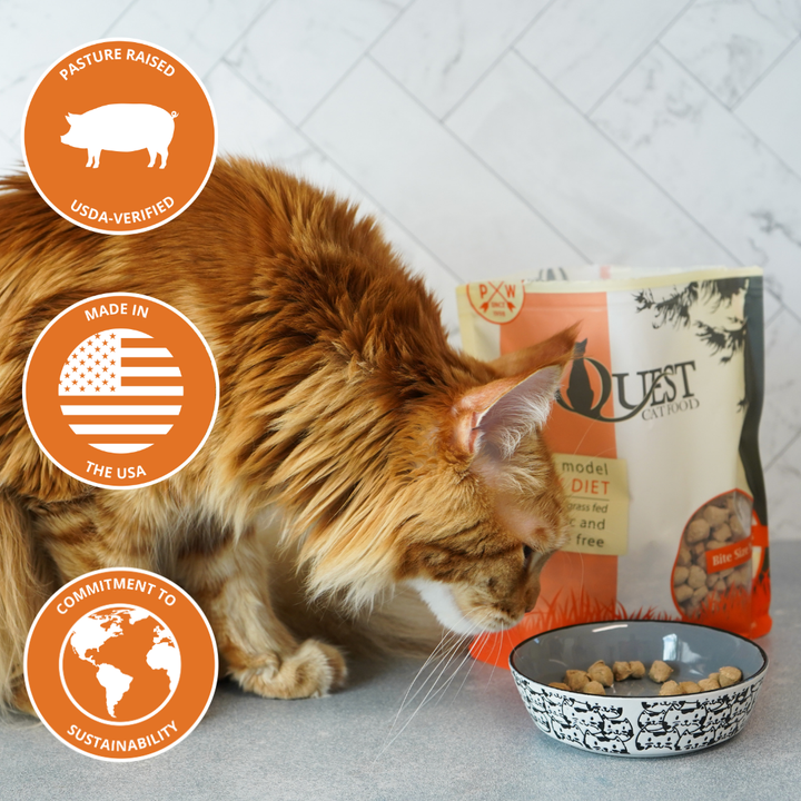 Pork Freeze-Dried Raw Cat Food (2 Pack) Bundle