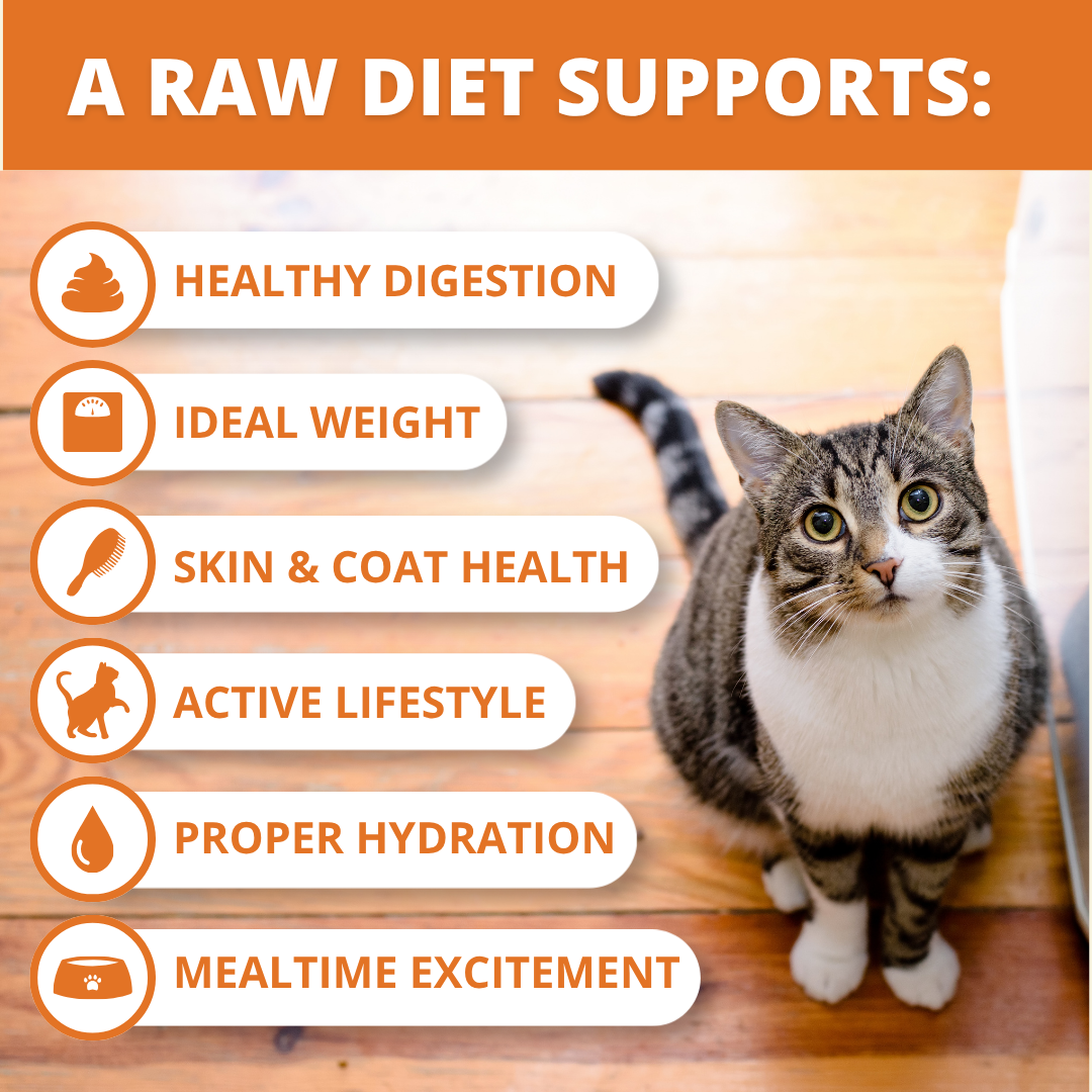 Pork Freeze-Dried Raw Cat Food (2 Pack) Bundle
