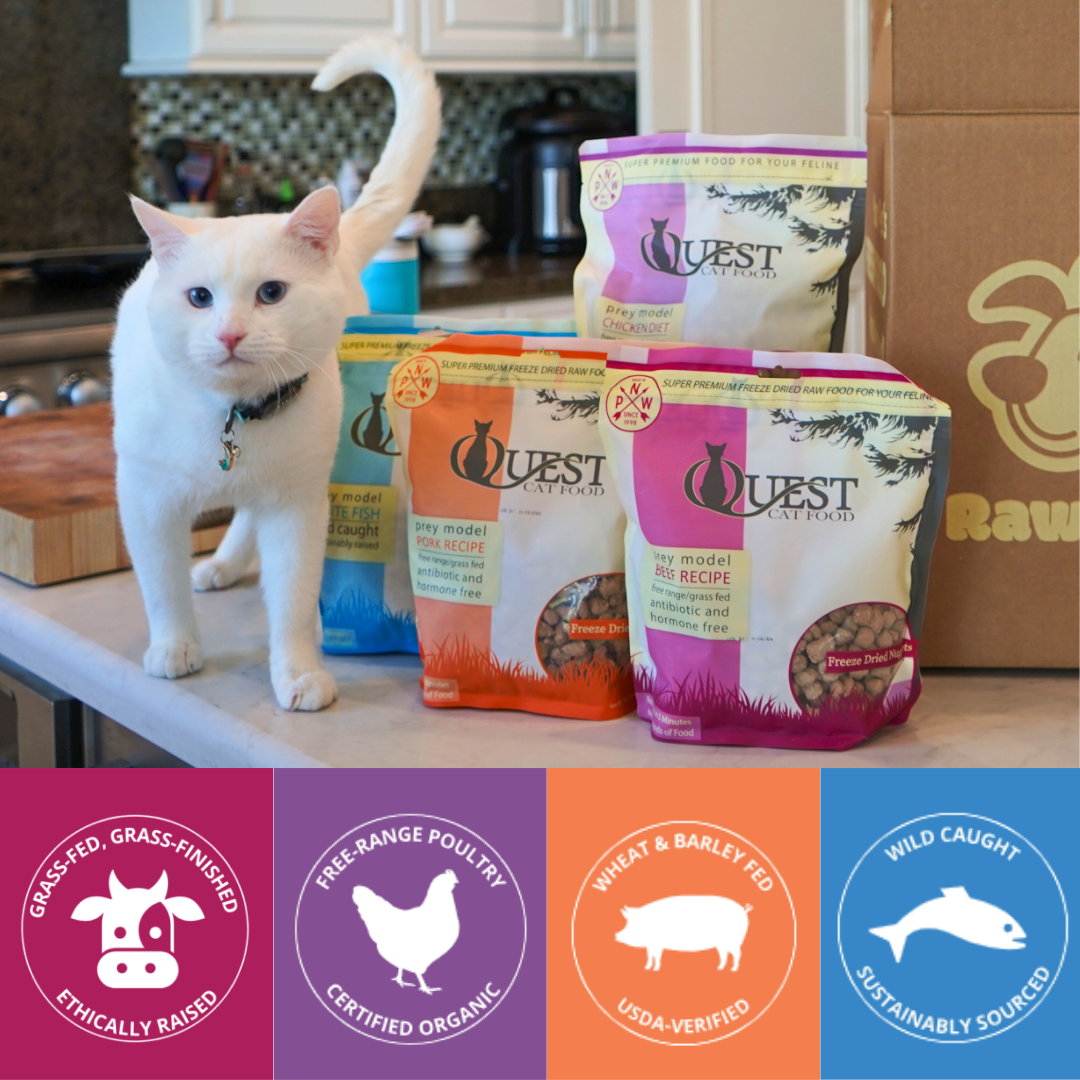 Variety Freeze-Dried Raw Cat Food (4 pack) Bundle