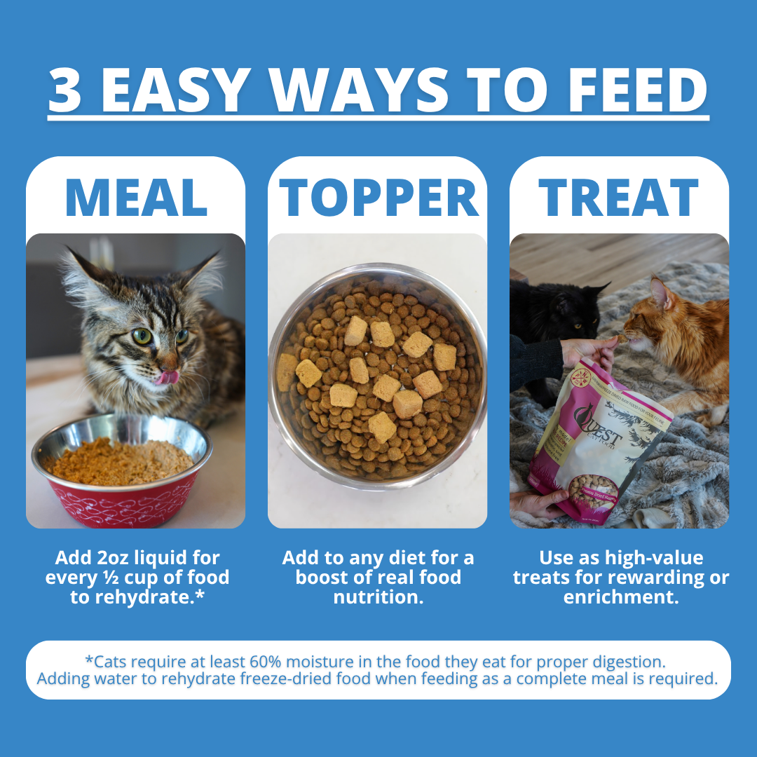 An informational graphic with the headline '3 EASY WAYS TO FEED' on a blue background, showing three panels: a cat drinking from a bowl under 'MEAL', kibble in a bowl under 'TOPPER', and cats with a bag of pet treats under 'TREAT'. Small text explains how to use each feeding method.