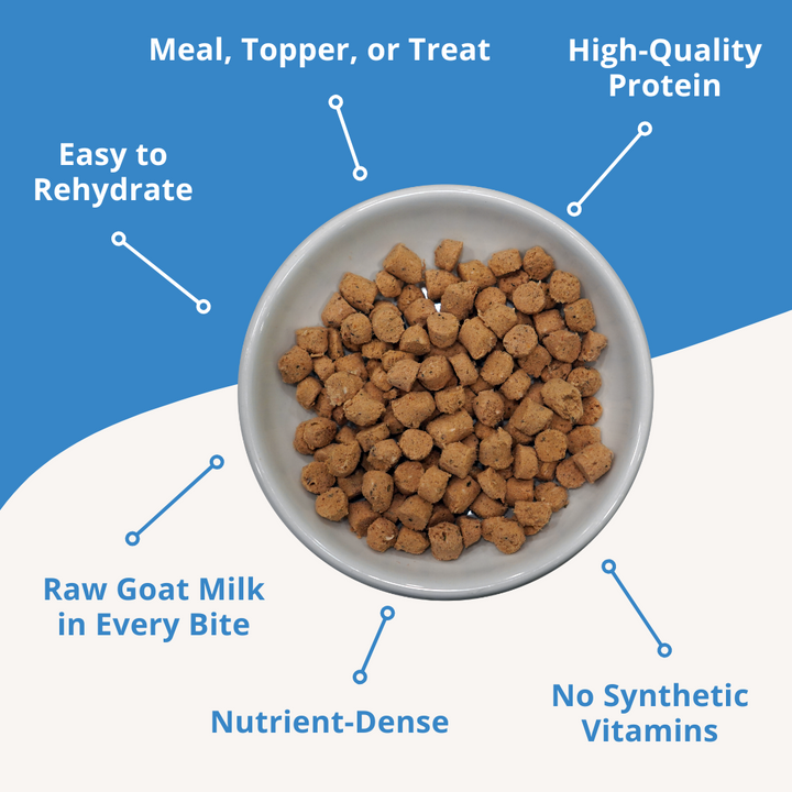 Bowl of pet food with text highlighting features on a blue background