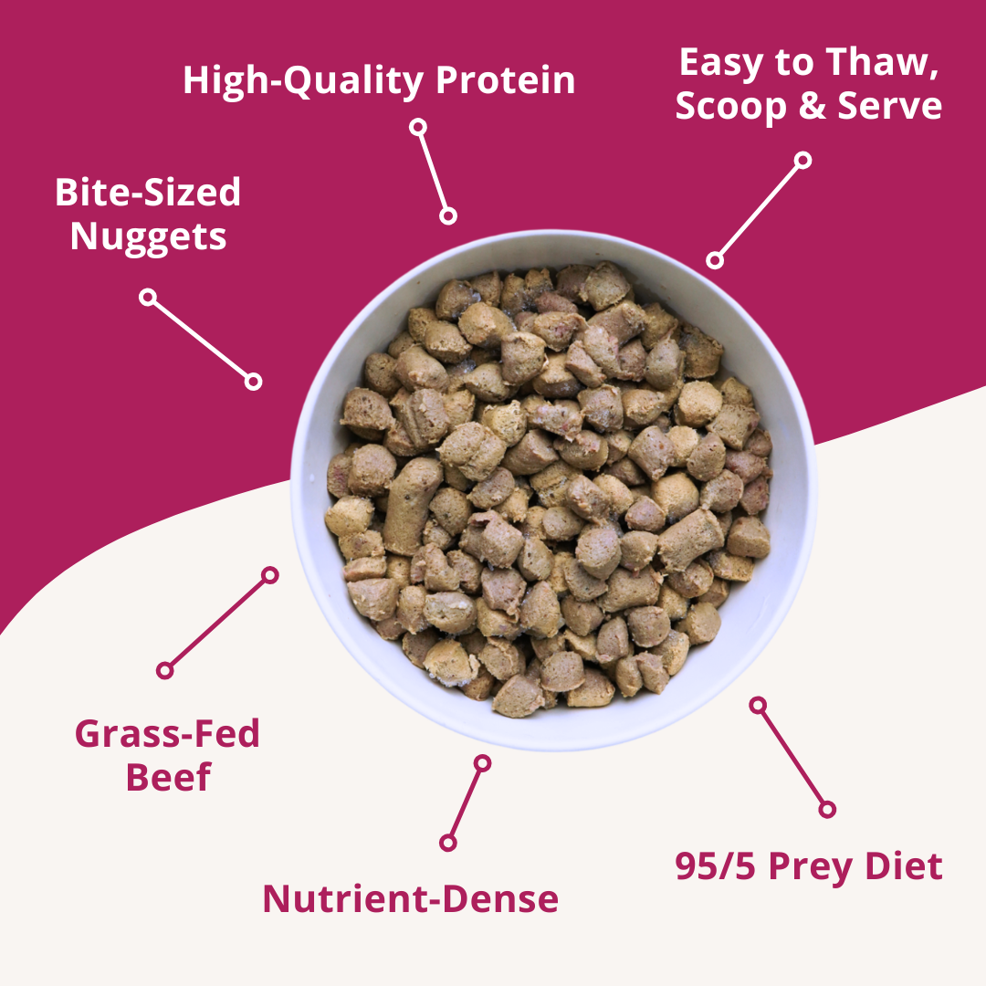 Frozen Raw Cat Food: Variety Bundle (4 Pack)