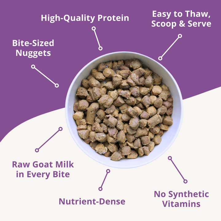bowl of frozen cat food nuggets with product features