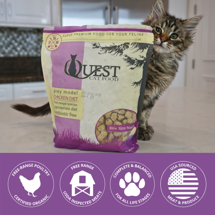 kitten with bag of quest cat food frozen raw and brand icons at the bottom