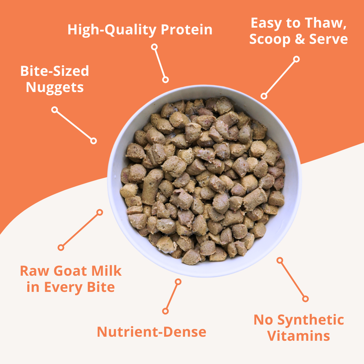 bowl of frozen raw nuggets for cats with product features