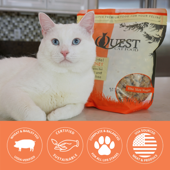 white cat with bag of frozen raw cat food nuggets and brand icons at the bottom