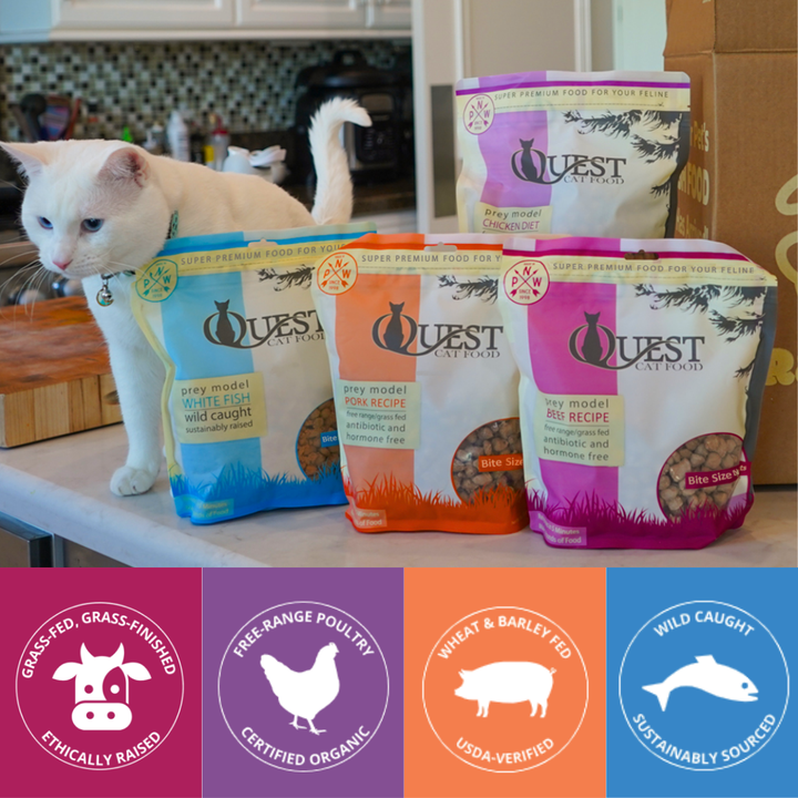 Frozen Raw Cat Food: Variety Bundle (4 Pack)