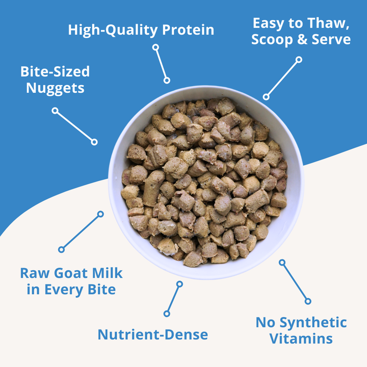 bowl of frozen raw cat food nuggets with product features