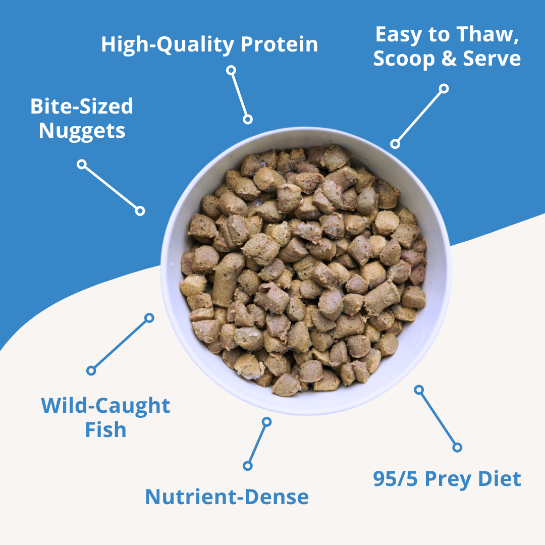 Frozen Raw Cat Food: White Fish Recipe (4 Pack)